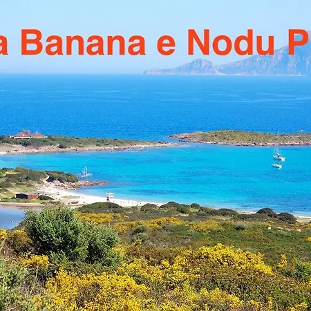 Sardegna - Mirto & Flowers Апартаменты Ольбия