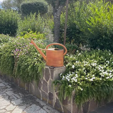 Apartman Sardegna - Mirto & Flowers *