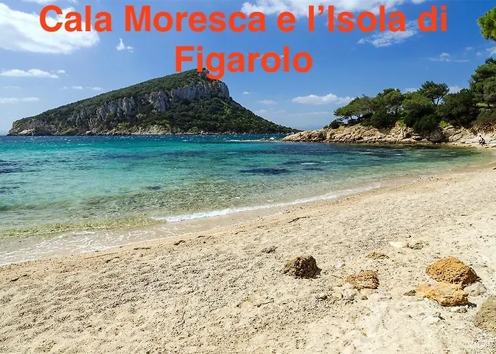 Sardegna - Mirto & Flowers *